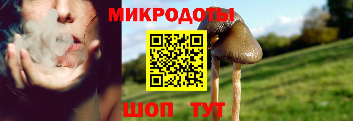 Галлюциногенные грибы прущие грибы  магазин продажи   Аргун  Галлюциногенные грибы GOLDEN TEACHER  Вход с VPN 